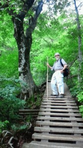 登山途中、3合目付近の木道（木橋？）にて