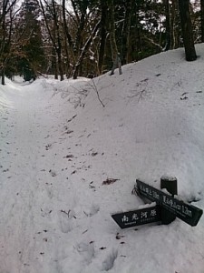 登山口から１０分足らずのこの場所で引き返した